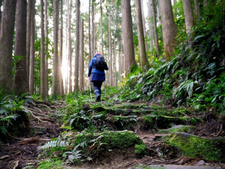 Hiking