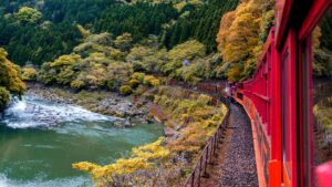 Best Things to Do in Sagano