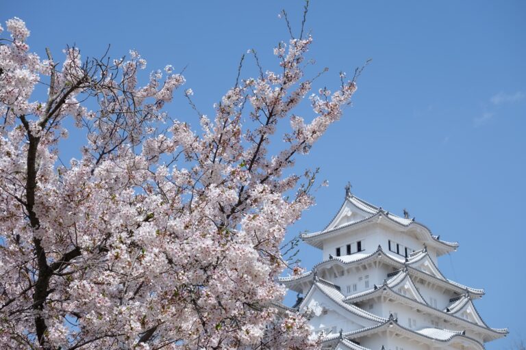 12 Original Castles in Japan that Survived Turbulent Times