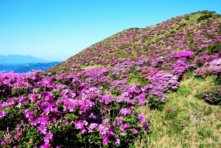 20 Best Places to Visit for Nature Lovers in Japan