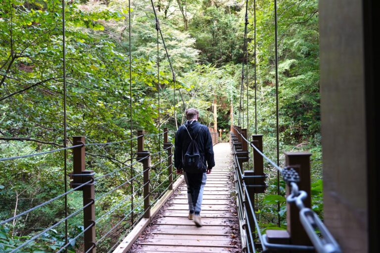 Day Trips from Hachioji: Mt. Fuji, Mt. Takao, and Lakes, Wrapped in Tradition