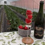 Protected: The Red Jewel of Saitama: A Gourmet Escape into the World of the Amarin Strawberry