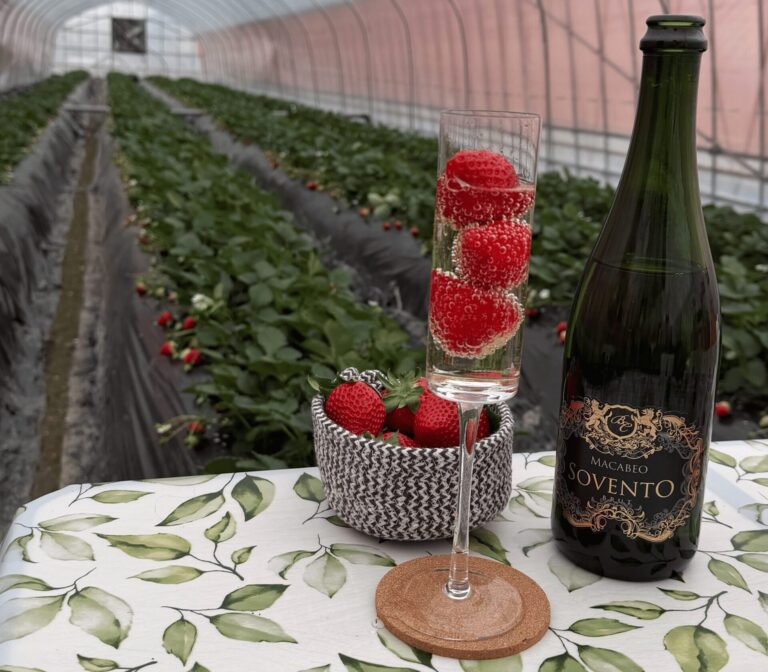 Protected: The Red Jewel of Saitama: A Gourmet Escape into the World of the Amarin Strawberry